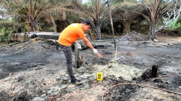 Personel Unit Identifikasi Satuan Reskrim Polres Aceh Timur melakukan olah TKP sumur minyak yang terbakar di areal perkebunan PT PPP Desa Seuneubok Lapang, Kecamatan Peureulak Timur, Aceh Timur, Kamis (13/10/2022) pagi