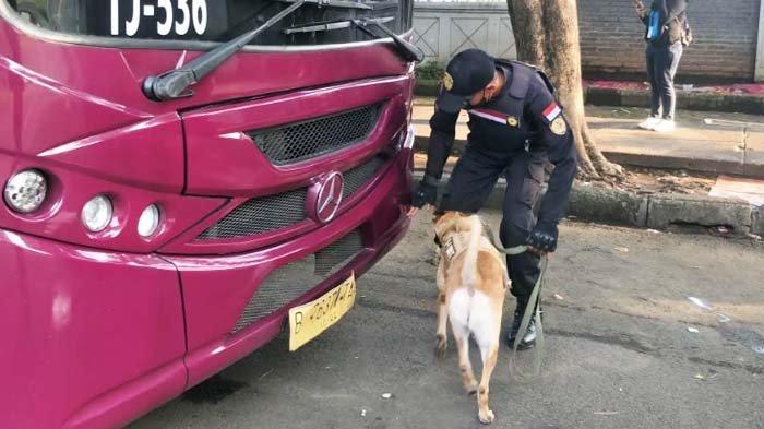 Bucerry dan pelatihnya, Clay Abraham, sedang melacak bom yang mungkin diletakkan di bus yang akan mengangkut penonton balapan Formula E, Sabtu (4/6/2022).