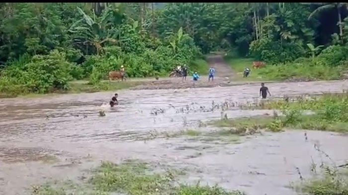 BANJIR - Warga di pedalaman Ende saat melintas di Sungai Lowolaka, Jumat 25 Februari 2022.