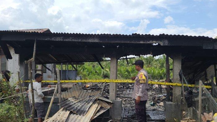 Satu rumah semi permanen yang berada di RT 05 Dusun Harapan Makmur Desa Kota Harapan, Kecamatan Muara Sabak Timur, Kabupaten Tanjung Jabung Timur, Jambi ludes dilahap si jago merah sekira 10.00 WIB Selasa (24/8/2022).