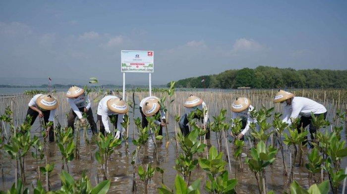 Kontribusi insan Astra Motor turut melakukan penanaman bibit pohon bakau