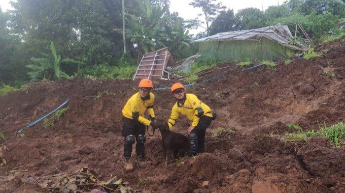 Anjing bernama Coco milik Satpol PP Kota Semaraang, saat diterjunkan ke Cianjur.