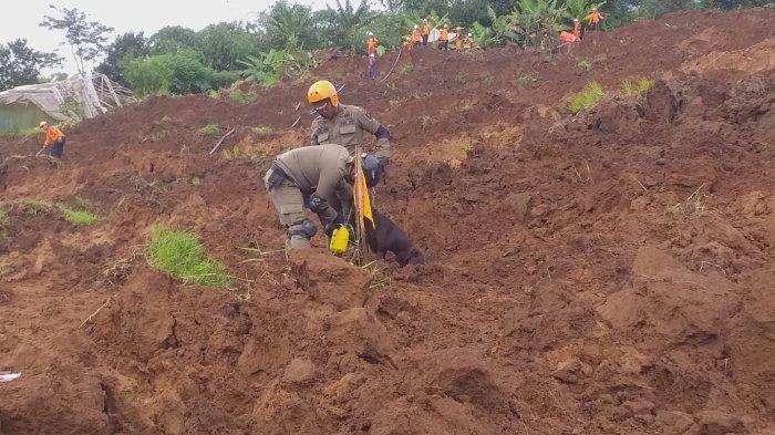 Anjing bernama Coco milik Satpol PP Kota Semaraang, saat diterjunkan ke Cianjur.
