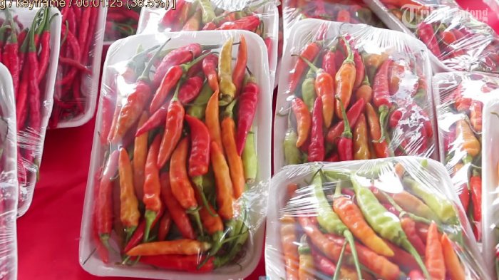 Cabai merah cabai keriting pedas