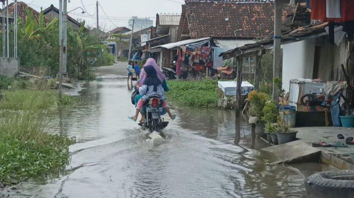 Desa Sayung terdampak rob.