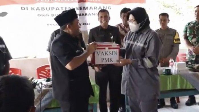 Pendistribusian vaksin PMK di Dusun Indrokilo, Desa Lerep, Kecamatan Ungaran Barat, Kabupaten Semarang, Jawa Tengah, Kamis (30/6/2022).