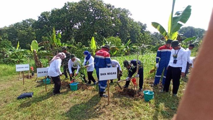 Pertamina EP dan PEPC Alas Kemuning bersama jajaran Pemerintah Kabupaten Blora melakukan penanaman pohon di Desa Nglobo, Kecamatan Jiken, Kabupaten Blora, Kamis (24/11/2022).