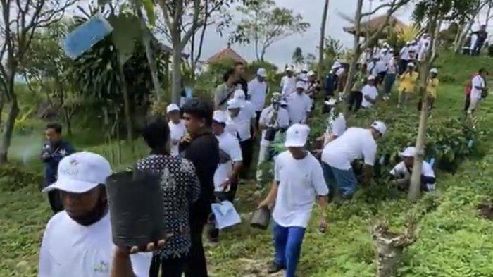 Para petani warga setempat membawa 3.000 bibit pohon alpukat pemberian PT PLN UIP JBT yang akan ditanam di Desa Kenteng, Kecamatan Bandungan, Kabupaten Semarang.
