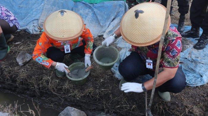Pj Wali kota Salatiga, Sinoeng N Rachmadi tinjau sawah dan saluran irigasi di Tingkir Lor Kota Salatiga, Rabu (27/7/2022).