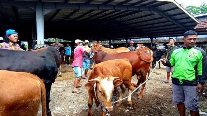Suasana di Pasar Hewan Wonolelo, Jumat (20/01/2023).