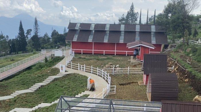 Suasana Little Ranch, tempat wisata baru di Umbul Sidomukti, Kecamatan Bandungan, Kabupaten Semarang.