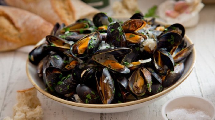 ilustrasi masakan kerang