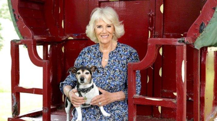 Camilla Queen Consort of United Kingdom