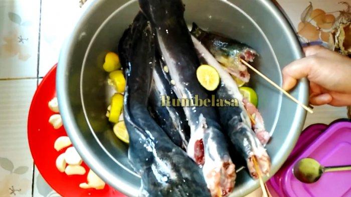 Cuci bersih ikan lele, kemudian lumuri dengan jeruk nipis dan garam