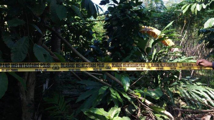 Lokasi penemuan jenazah korban remaja yang sempat hilang satu hari dipasangi garis polisi, di kebun kopi di Dusun Kopen, Desa Baleagung, Kecamatan Grabag, Kamis (04/08/2022) lalu