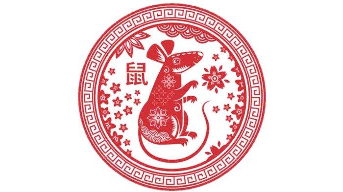 SHIO TIKUS