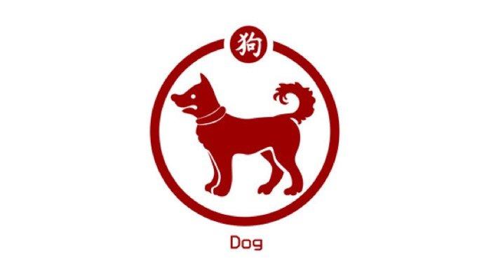 Shio Anjing