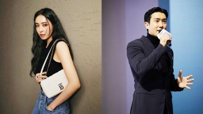 Sinopsis drama Korea Icy Cold Romance dibintangi Choi Siwon dan Lee Da Hee