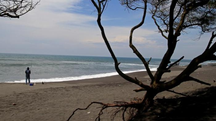 Kondisi pantai Goa Cemara yang terletak di Gadingsari, Sanden, Bantul, belum lama ini. Kawasan pantai Goa Cemara rusak akibat abrasi yang parah.