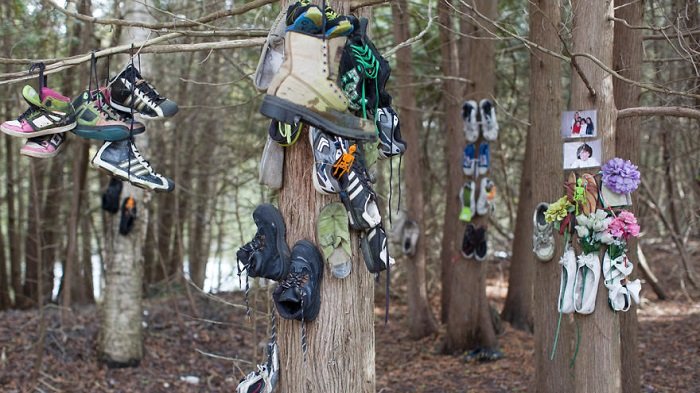 Hutan sepatu misterius di Kanada.