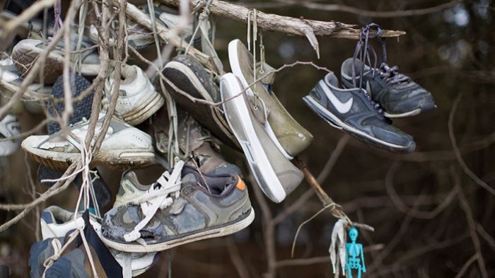 Hutan sepatu misterius di Kanada.