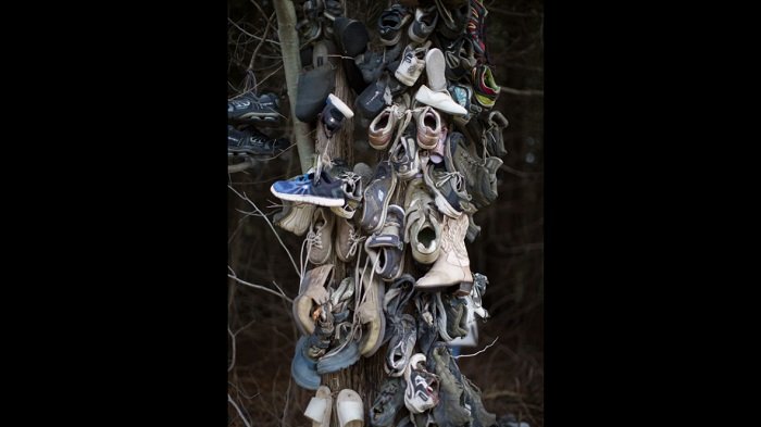 Hutan sepatu misterius di Kanada.