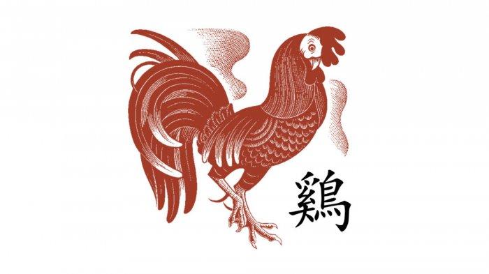 SHIO AYAM