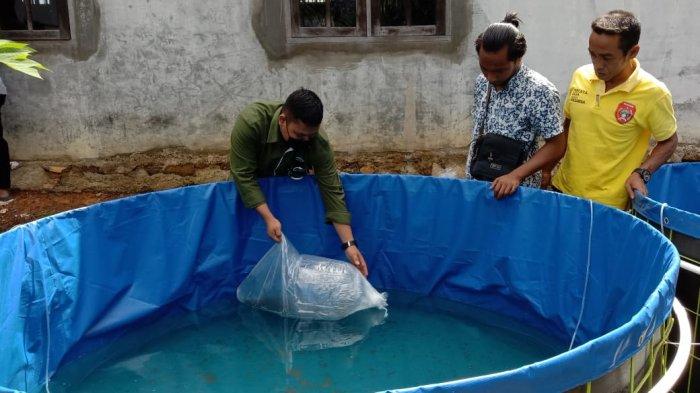 Penyerahan bantuan 3.000 bibit ikan lele, 2 set kolam bioflok, pakan ikan dan 1 set unit solar cell dari PT GSDI-GSYM kepada UMKM Baru di Desa Nanga Mua, Kotawaringin Barat, Kalteng, Rabu (22/6/2022).