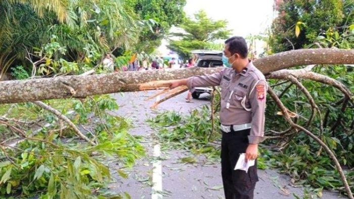 Pohon tumbang di jalan Soekarno menyebabkan 2 Pengendara tewas ditempat kejadian perkara. Kondisi penerangan jalan yang minim juga diduga menyebabkan pandangan pengendara tidak bsia melihat pohon tmbang tersebut secara jelas, selain itu pengendara yang tidak mengenakan helem saat berkendaraan jadi penyebab lainnya dalam kecelakaan tunggal
