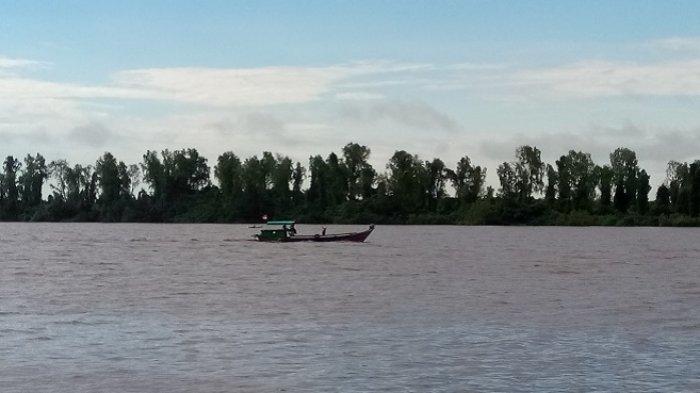 Pulau Hanaut, ini sejak lama dihuni oleh ratusan buaya muara Sungai Mentaya, karena merupakan habitatnya. Lokasinya ditengah-tengah sungai Mentaya, Kotim, Kalteng. Warga sekitar yang bermukim di lokasi ini sering diserang buaya yang menyeberang ke permukiman warga bantaran sungai.