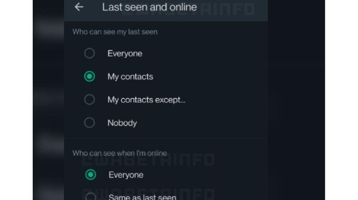 Ilustrasi pembaruan WhatsApp Android, sembunyikan status online telah dirilis.