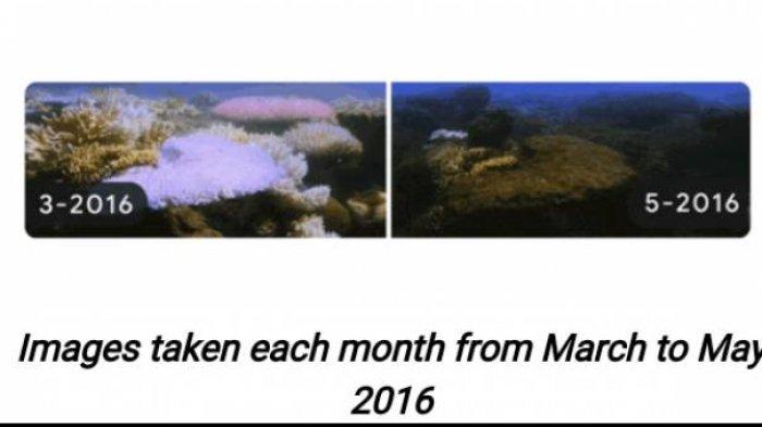 Penampakan bumi di Great Barrier Reef, Australia