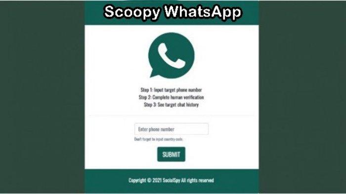 Tampilan laman muka Scoopy WhatsApp yang mirip Social Spy WhatsApp