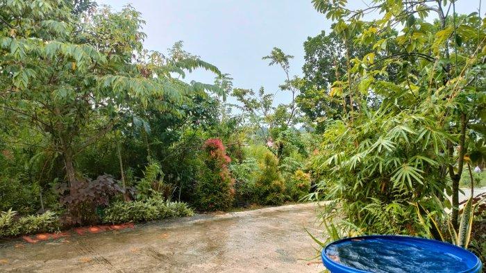 Keadaan lingkungan yang asri dan adem di Gala Puncak, Kelurahan Graha Indah, Kecamatan Balikpapan Utara, Kota Balikpapan, Kalimantan Timur usai diguyur hujan deras seharian semalam suntuk.