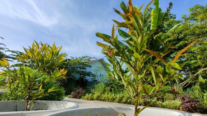 Cuaca cerah di kawasan ruang terbuka hijau Gala Puncak, Kelurahan Graha Indah, Kecamatan Balikpapan Utara, Kota Balikpapan, Kalimantan Timur pada 21 Oktober 2022 pagi.