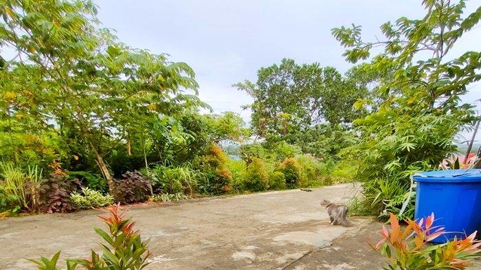 Cuaca cerah di kawasan Gala Puncak, Kalimantan Timur.