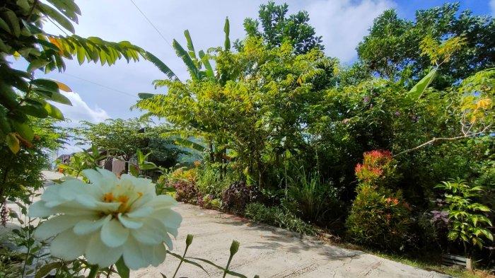 Cuaca cerah di kawasan ruang terbuka hijau Gala Puncak, Kelurahan Graha Indah, Kecamatan Balikpapan Utara, Kota Balikpapan, Provinsi Kalimantan Timur, Jumat 11 November 2022 pagi.