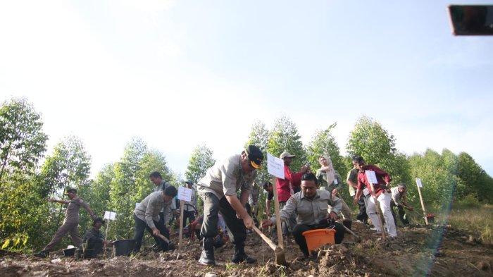 Penanaman pohon di IKN Nusantara, Kalimantan Timur pada Jumat 11 November 2022.