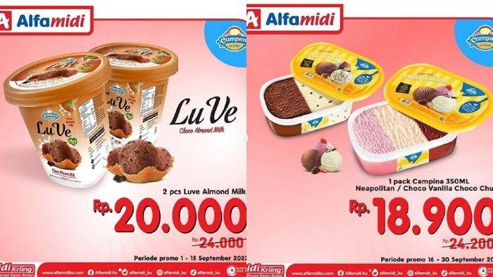 promo Alfamidi