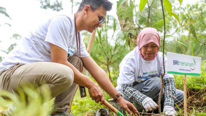 BRI terus berkomitmen untuk memberdayakan masyarakat luas dalam penerapan ESG, salah satunya dengan menginisiasi program BRI Menanam.