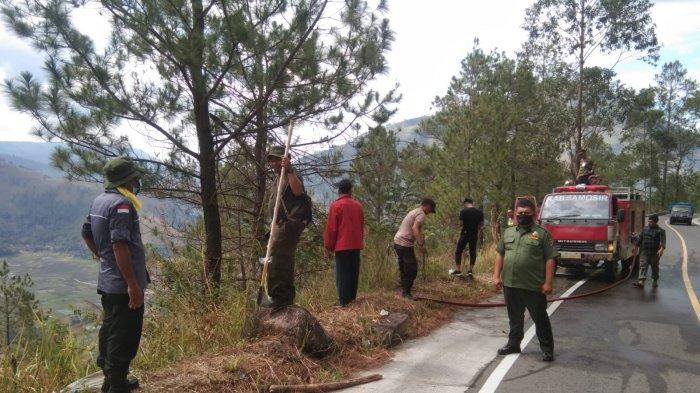 Karhutla terjadi di Hutan Pinus Tele, Kecamatan Harian, Kabupaten Samosir pada Senin (1/8/2022). Kini api sudah dipadamkan.