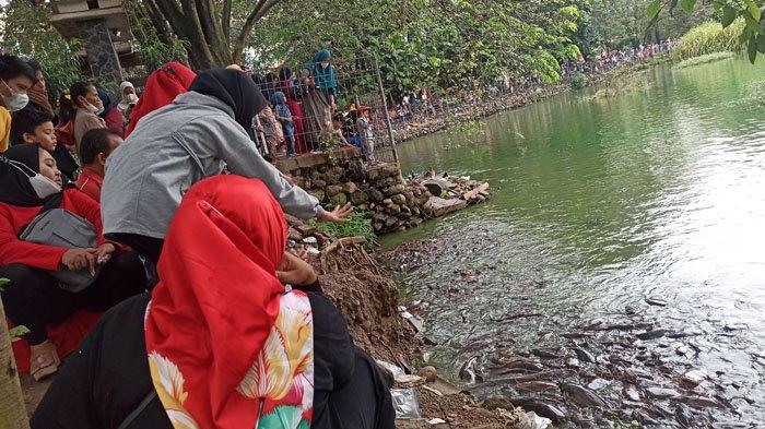 Pengunjung saat memberi makan di kolam ikan Perumahan Cemara Asri, Jalan Cemara, Kecamatan Percut Sei Tuan, Kabupaten Deli Serdang, Minggu (2/1/2022). Tempat wisata ini diserbu warga yang ingin memberikan langsung makanan terhadap ikan lele raksasa.