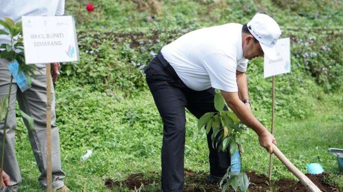 PLN melalui program PLN Peduli menyerahkan 3.000 bibit pohon kepada 2 desa di Kabupaten Semarang yakni Desa Candi dan Desa Kenteng Kecamatan Bendungan Kabupaten Semarang.