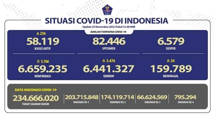 Update COVID-19 29 November 2022.