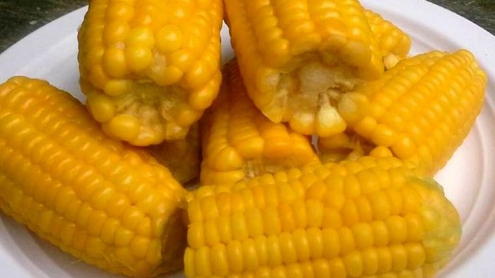 Jagung