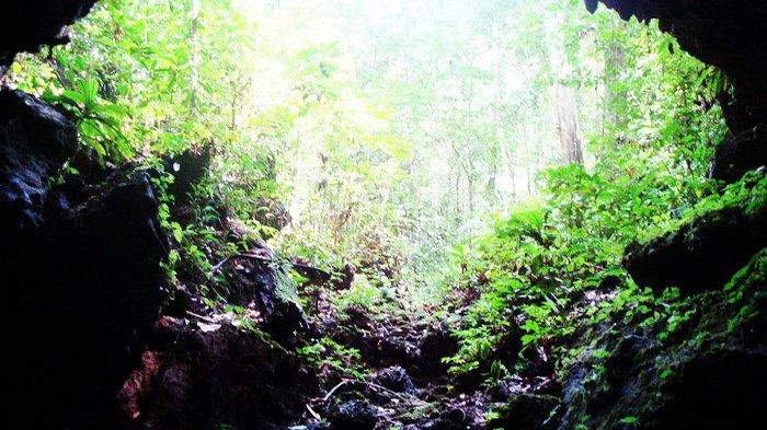 Goa di di kawasan Taman Wisata Alam Gunung Meja, Manokwari, Papua Barat