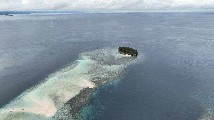 Potret Pulau Pasir Timbul Raja Ampat, Sorong, Papua Barat, dari udara, Minggu (3/3/2022). Pulau ini muncul saat air lait surut, sehari tiga kali selama 30 menit.