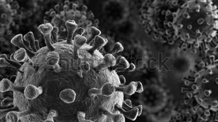 ILUSTRASI Virus corona