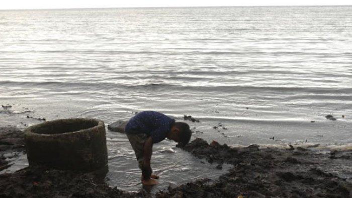 Mata air tawar muncul dari dalam pasir di wisata mangrove di Desa Salubiro, Kecamatan Karossa, Kabupaten Mamuju Tengah.