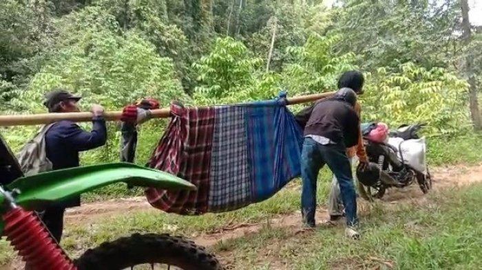 warga Desa Lenggo, Kecamatan Bulo, Polman ditandu menempuh perjalanan 12 km untuk mendapatkan pengobatan di Puskesmas. Dok Habib Imran